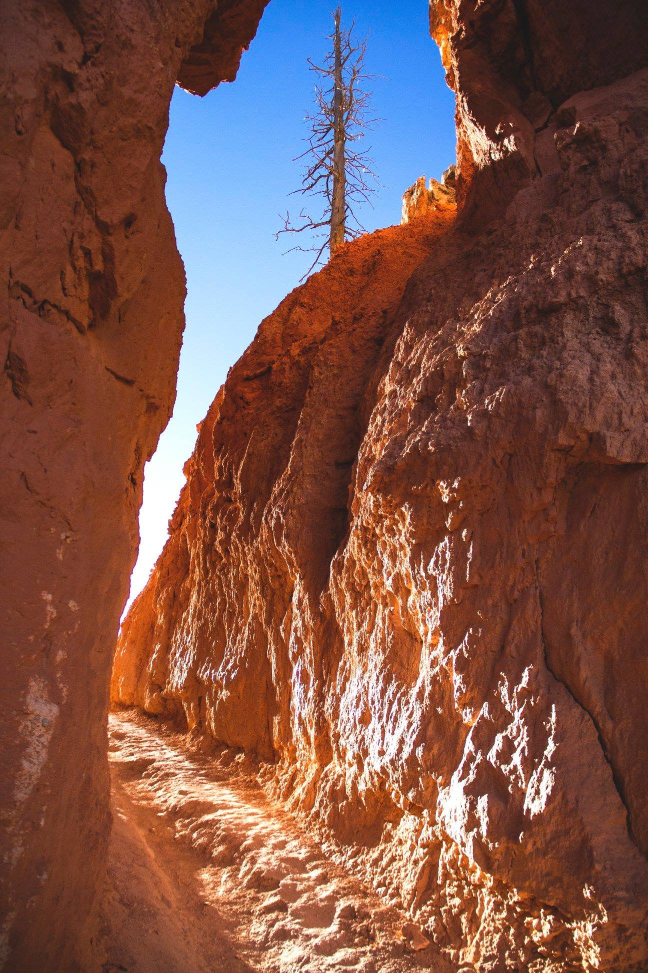 Bryce Canyon_2.jpg