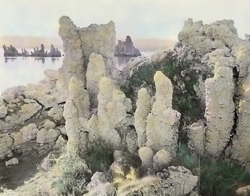 "Many Mono Colors"