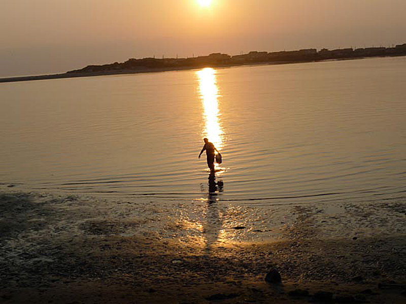 Clamming 2 - Oregon 