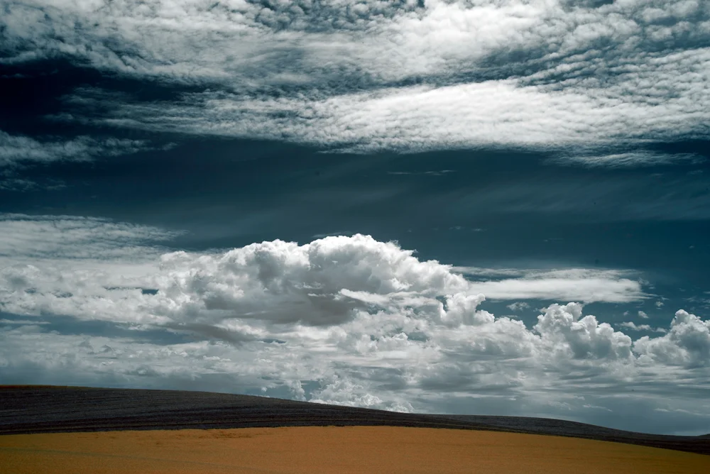 Palouse Skies