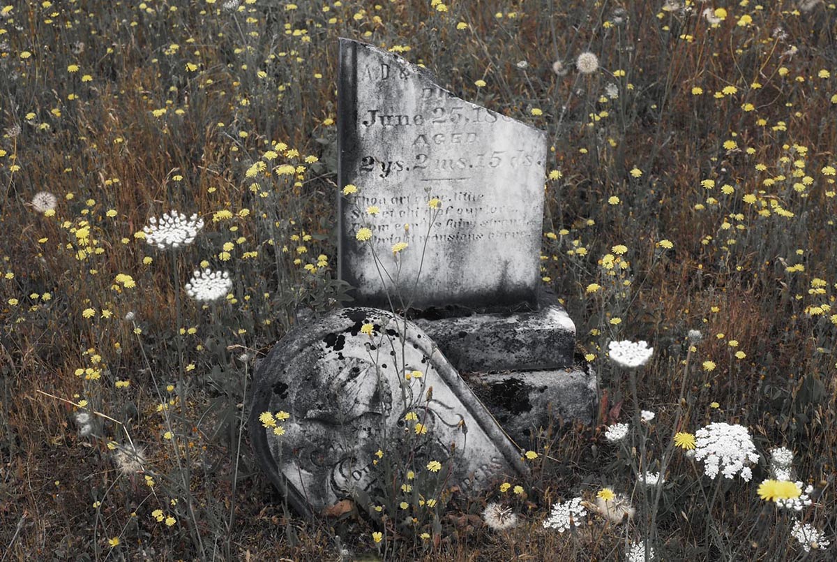 Remembrance of young