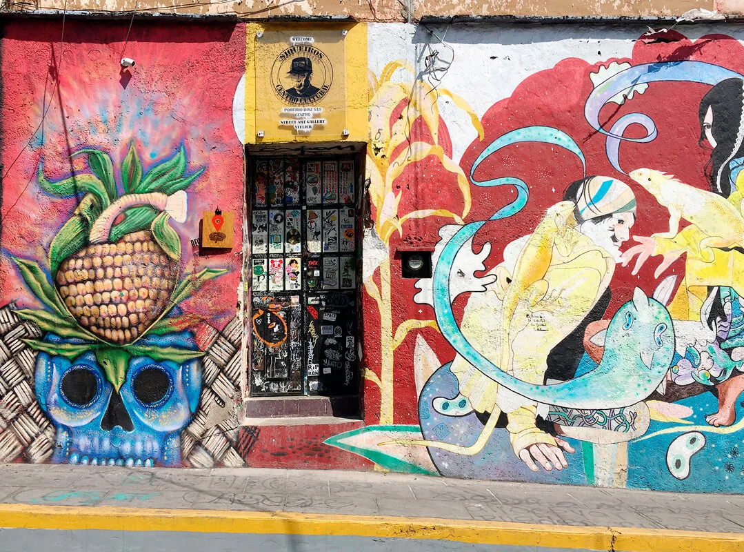 Oaxaca Street Art # 7