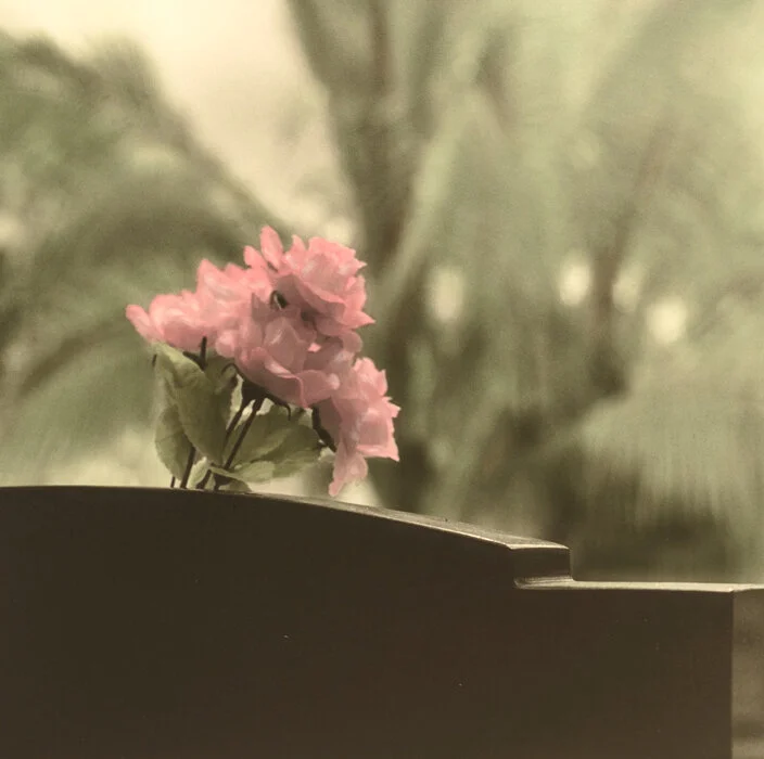 Graves of Rarotonga-8.jpg