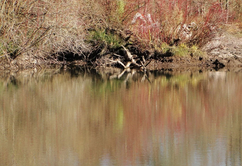 River Ecco - Archival Inkjet Print - 16x20 print - $125
