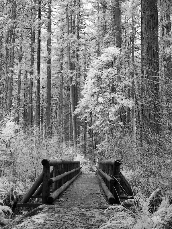 P1060792 Delta CG Trail Bridge.jpg
