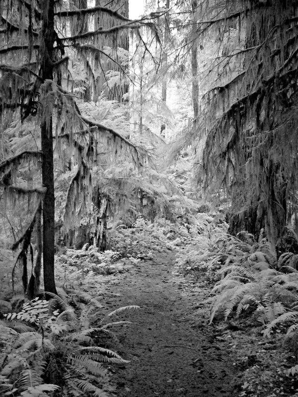 P1060794 Delta CG Path B&W.jpg