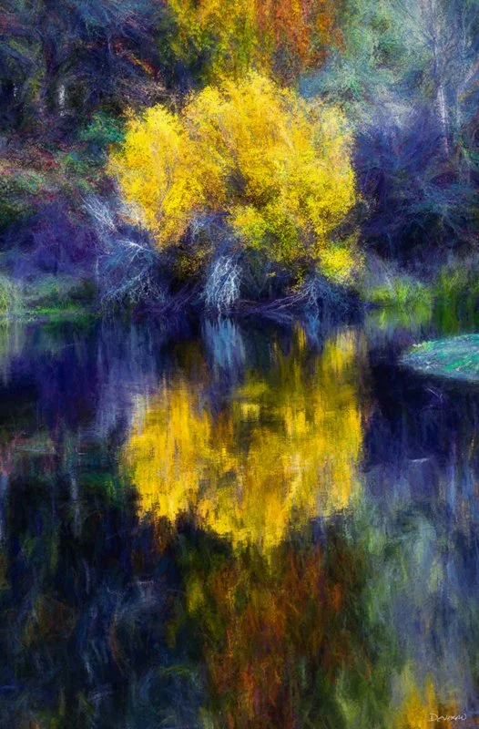 Autumn Reflections