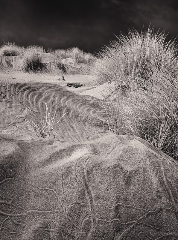 Dunes in Isolation