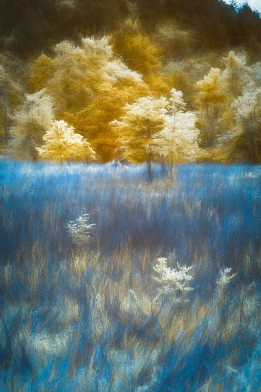 Field in Blue
