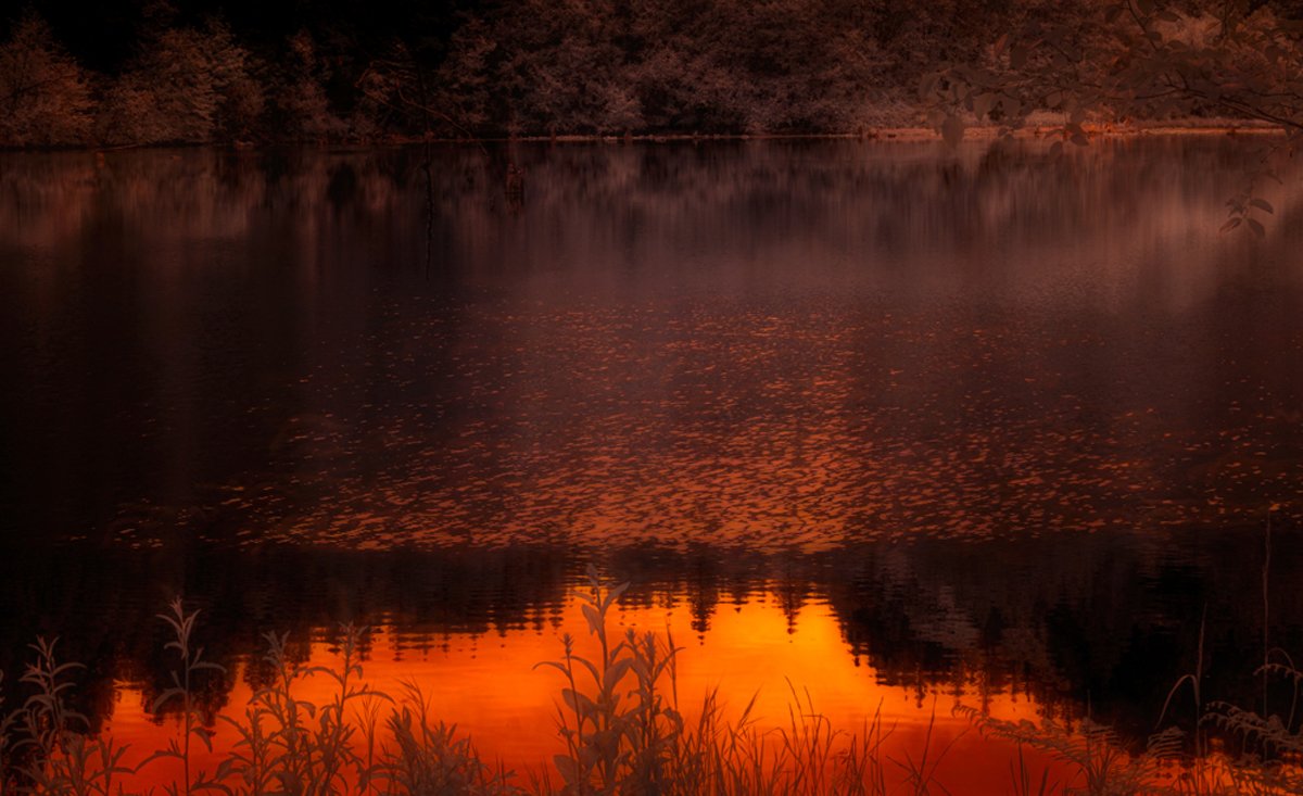 Hult Pond Reflections