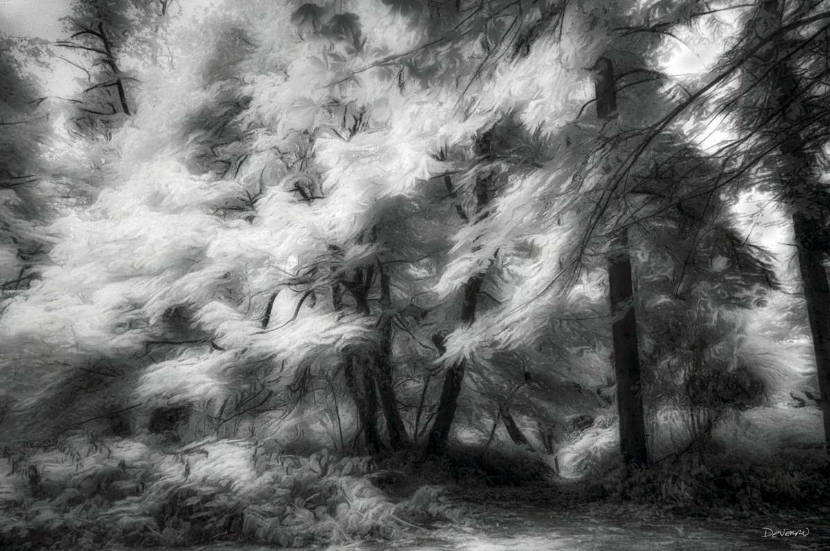 Surreal Movement