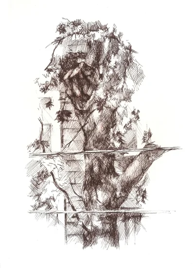 Webster tree