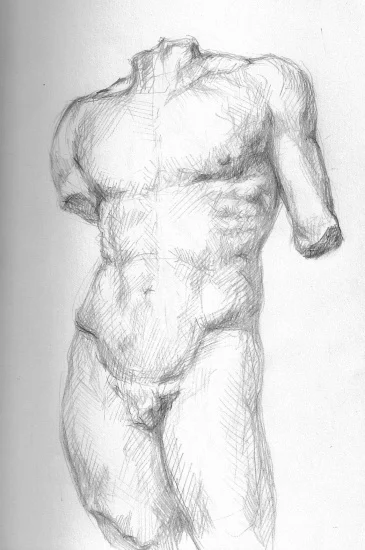 Torso