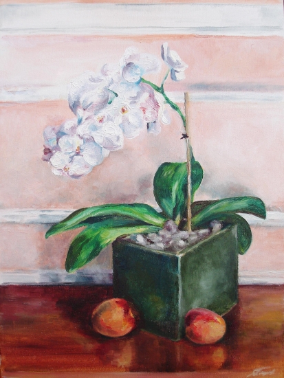Orchids and apricots