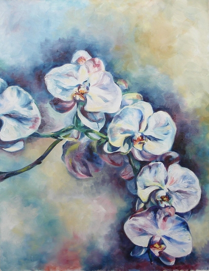 Orchids