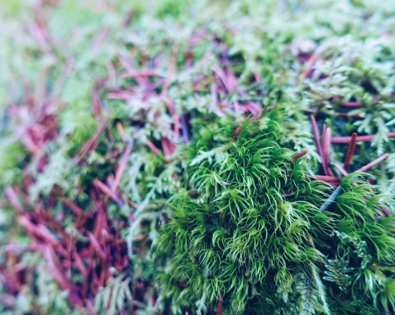 Processed with VSCO with a5 preset
