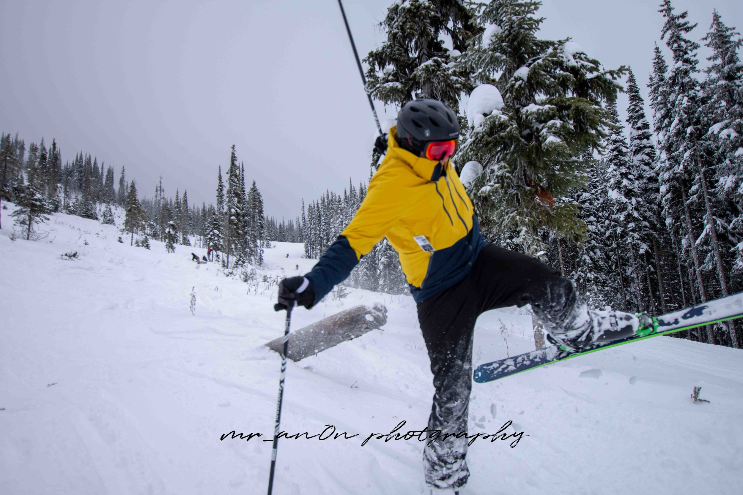 DSC_0331LRLR.jpg