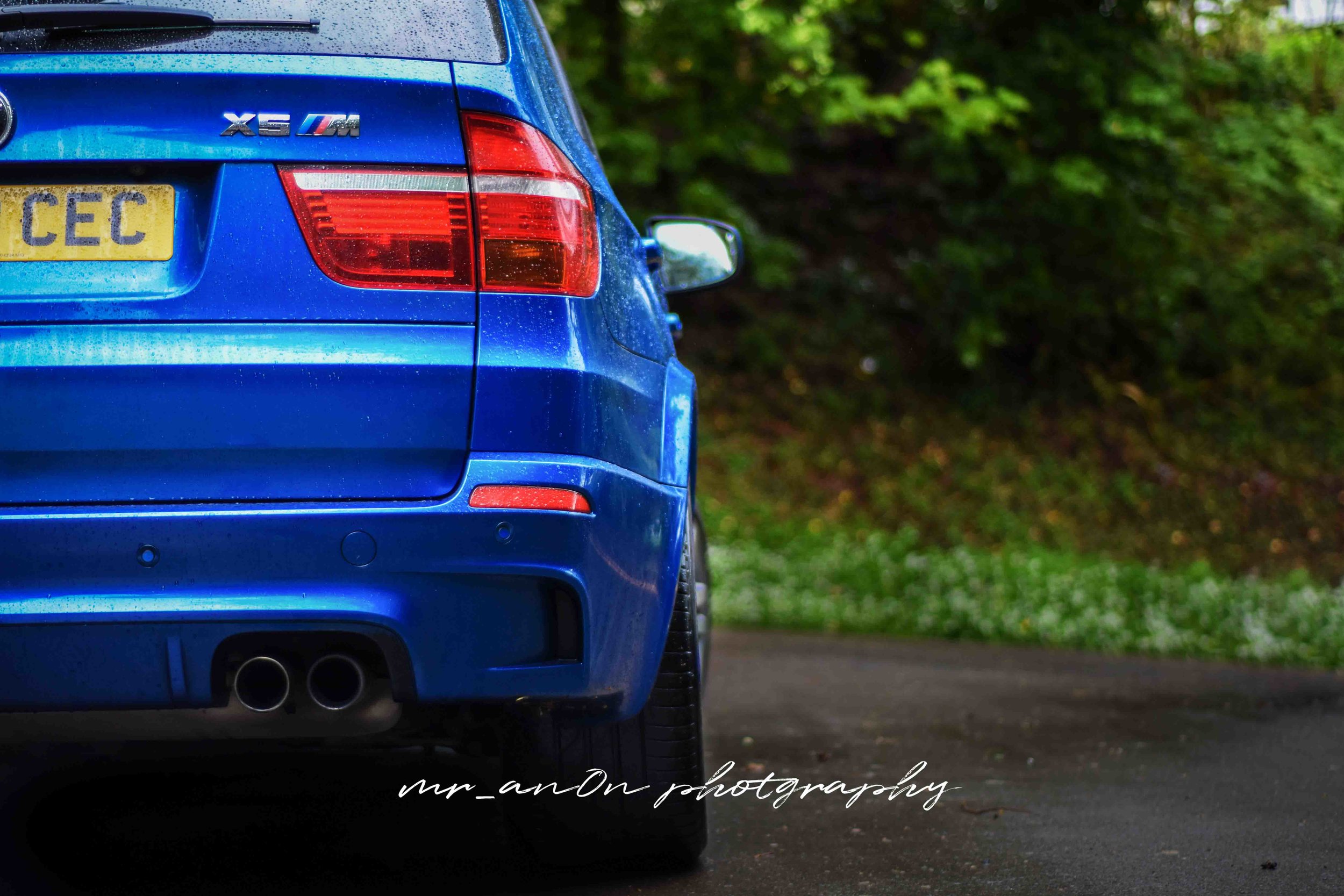 Rear End 3 No Number PlateLR.jpg