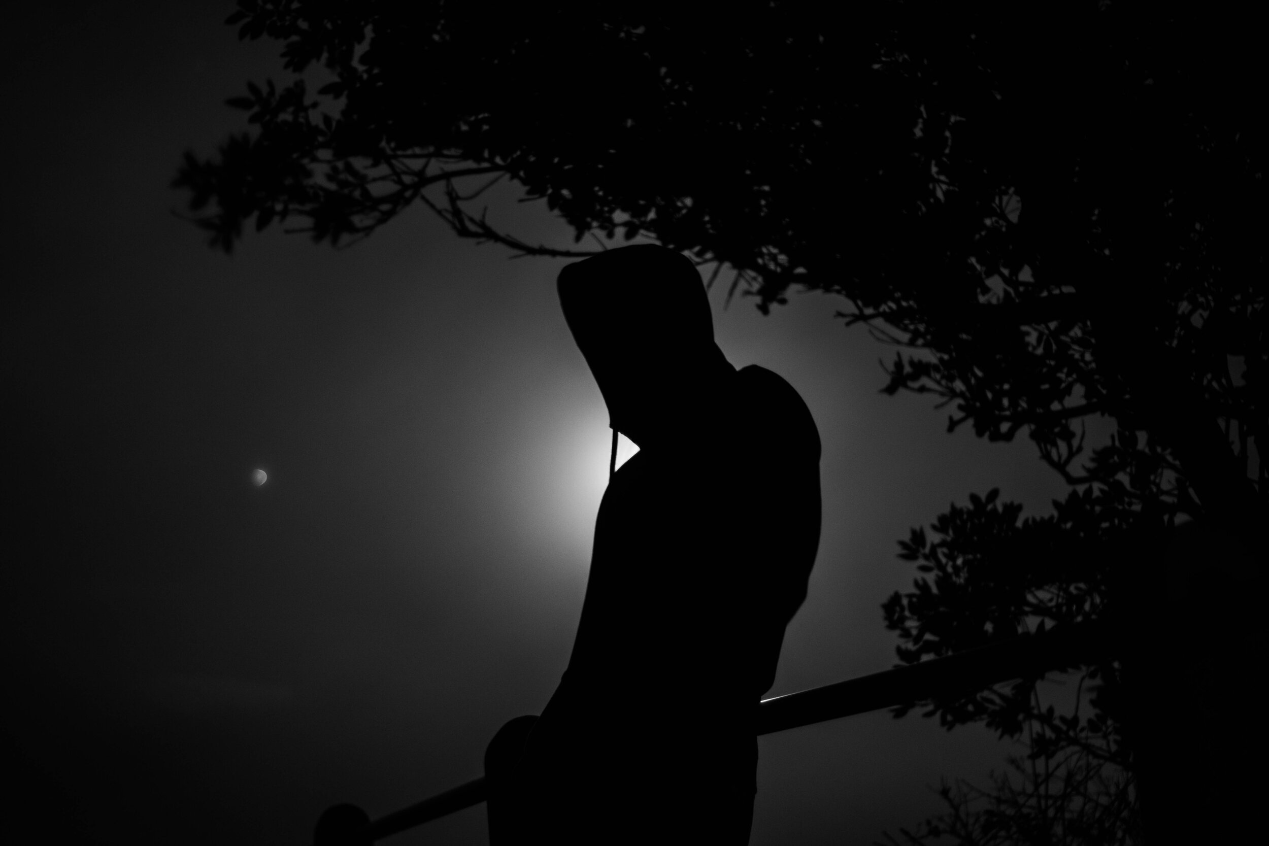 DSC_6896LR-min.jpg
