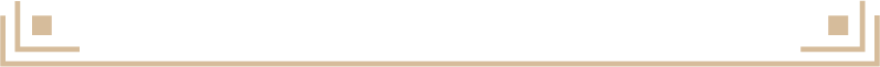 Menu-Navigation_Line2-bottom.png