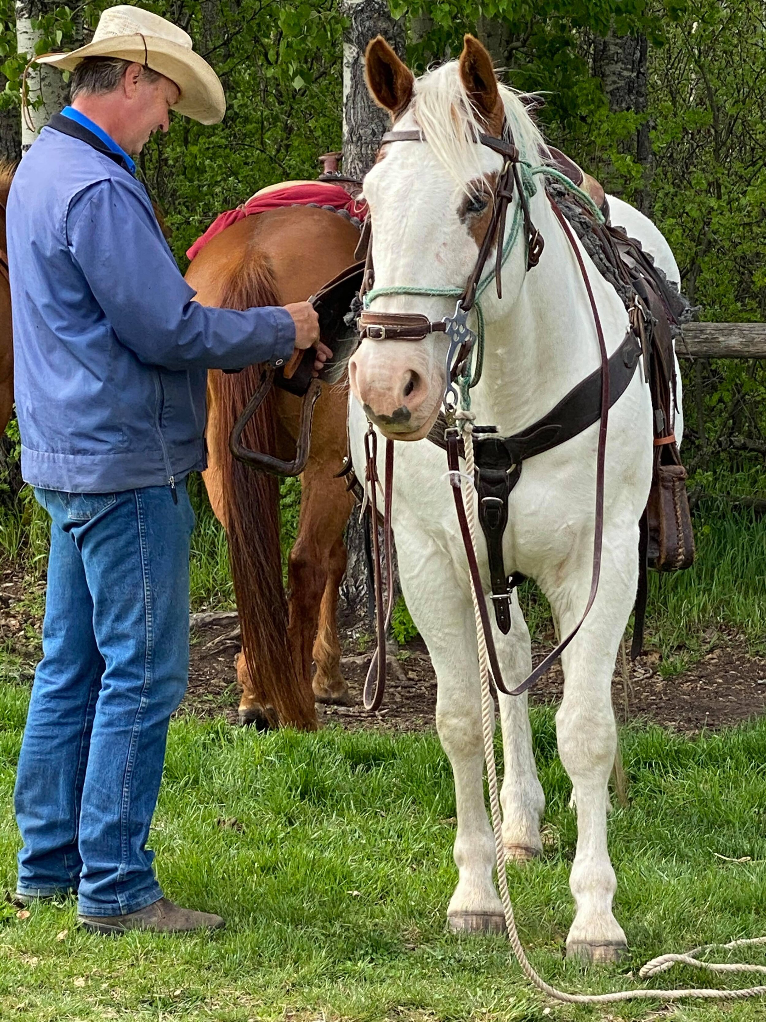 Checking the tack..jpg