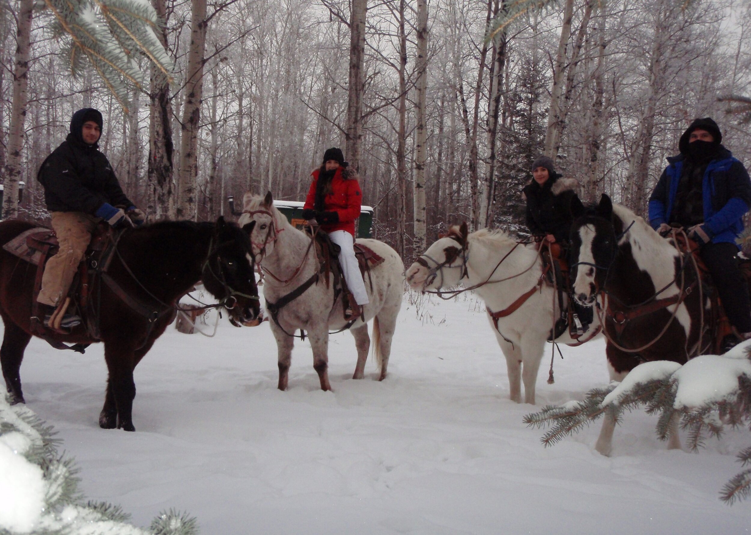 Christmas Ride.jpg