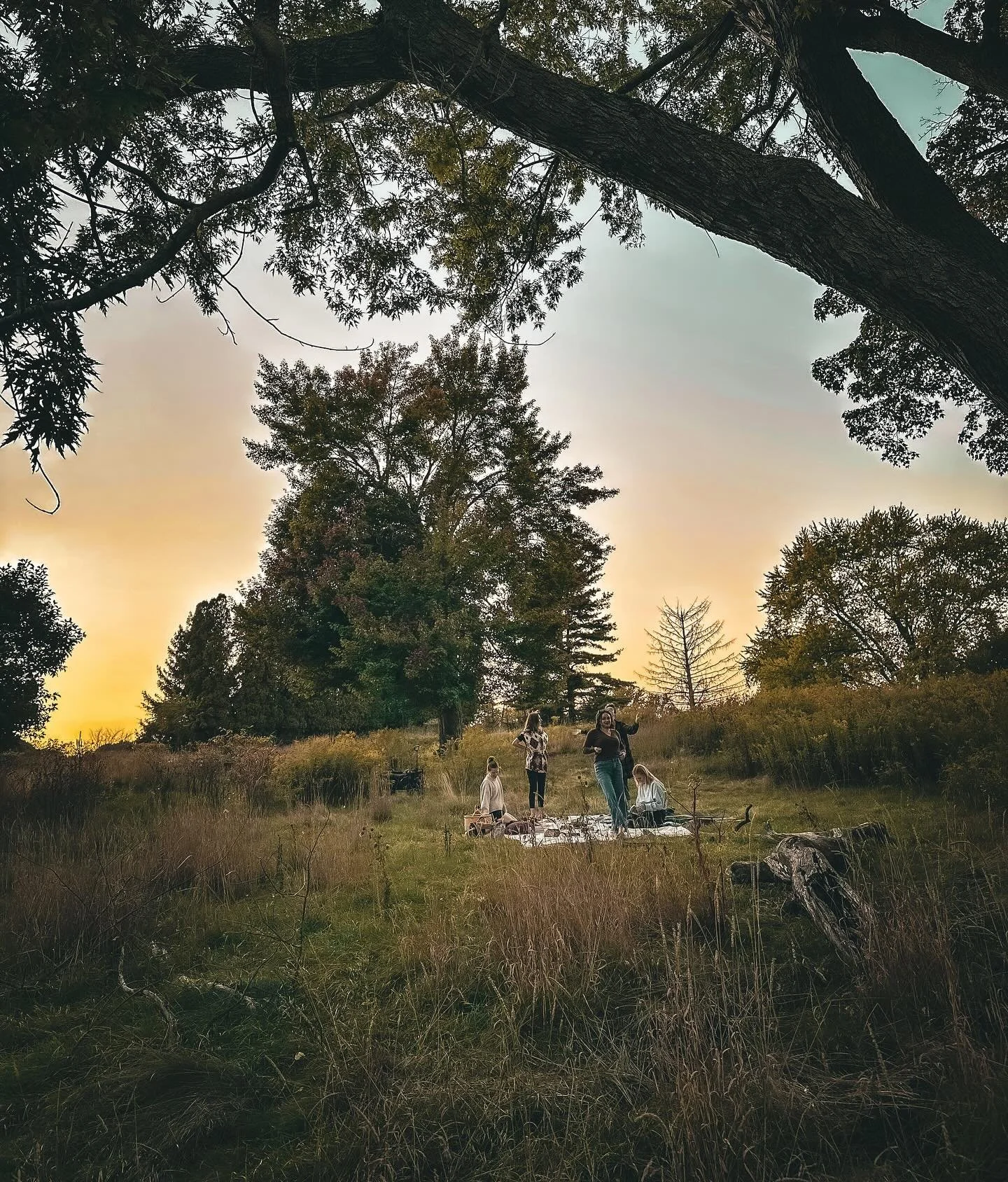 Last night, something sacred began&hellip;

That sacred something that happens when women - ready for transformation - come together. Held by Mother Earth and a remembering that goes beyond all words. 

#AwakenTheWolf #WildWisdom #WolvesAndWomen #Eco