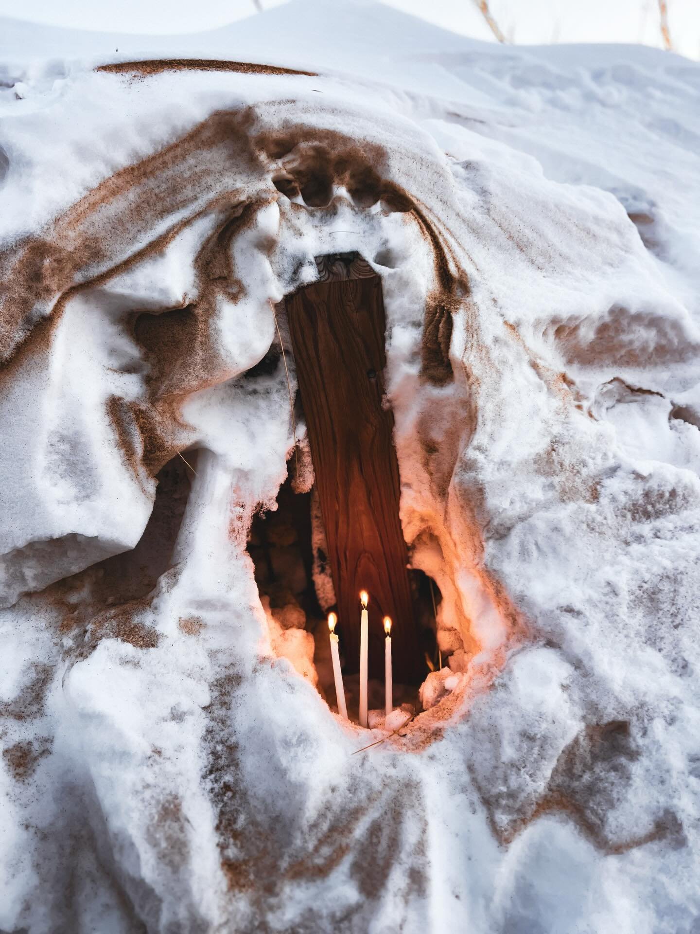 Perhaps this is what Imbolc asks of us;
to remember that love is not a feeling,
but a force 
that never stopped blessing us,
not once,
ever.