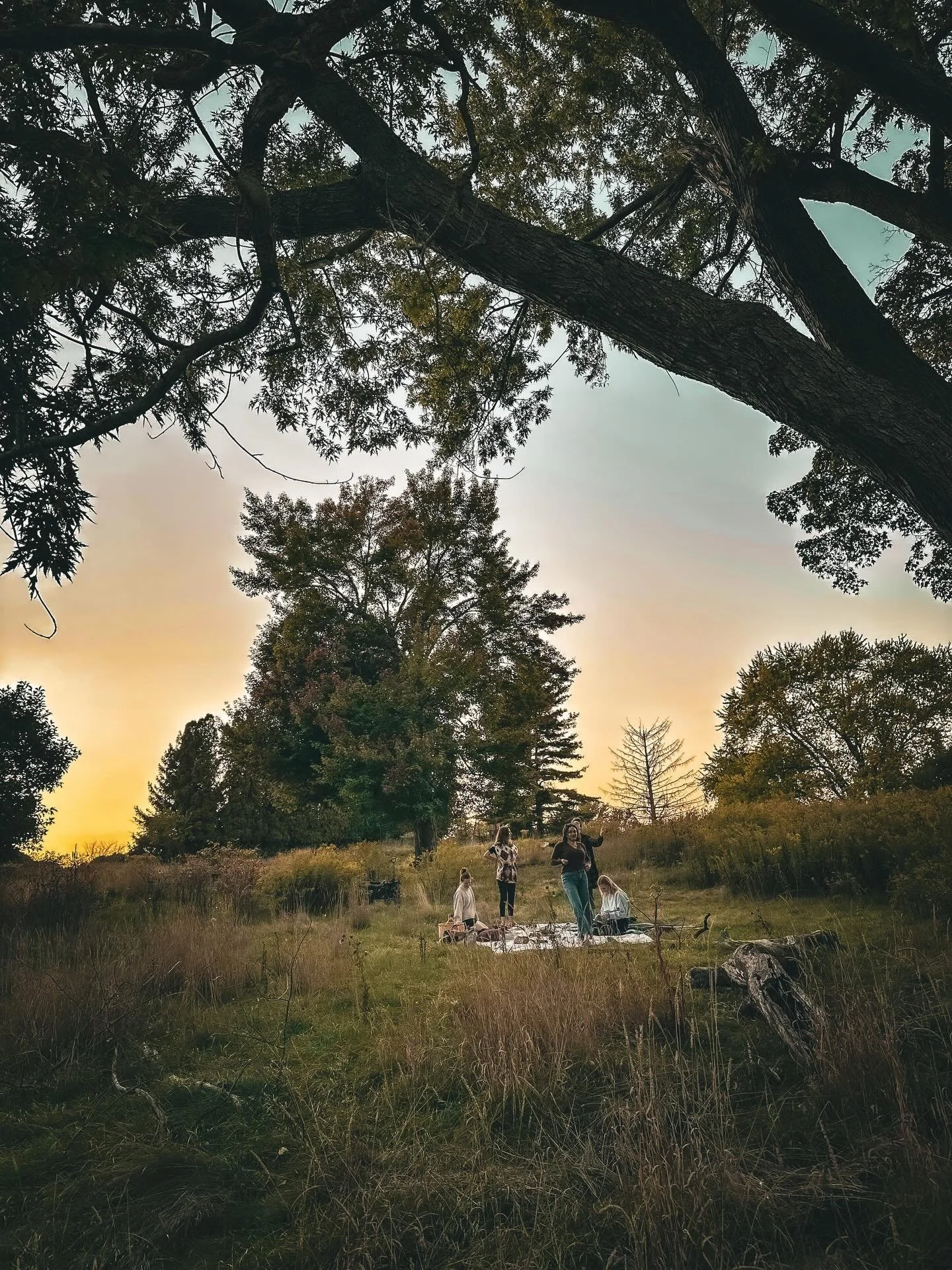 Six months of medicine. 
One sacred journey. 🌙

#womenwhorunwiththewolves #womenwhoriserooted #awakenthewolf #rewilding #sisterhood