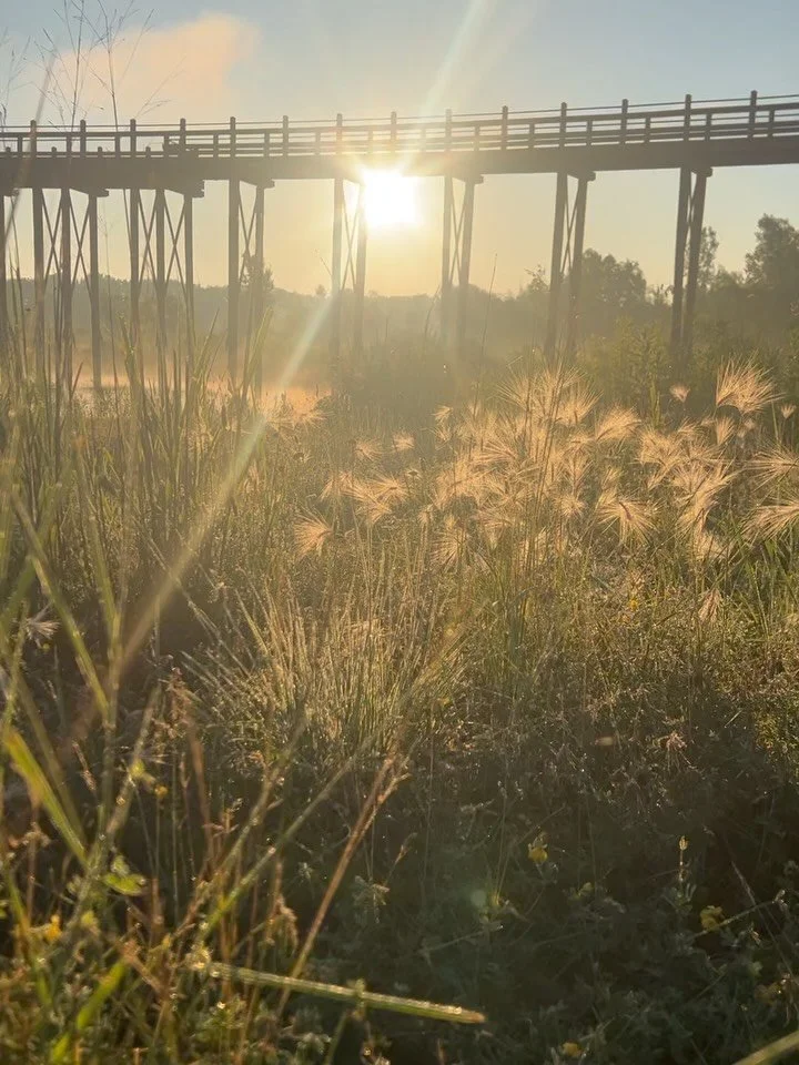 Consumed. By the beauty of it all.

#whyiwakeearly #sunrise #motherearth