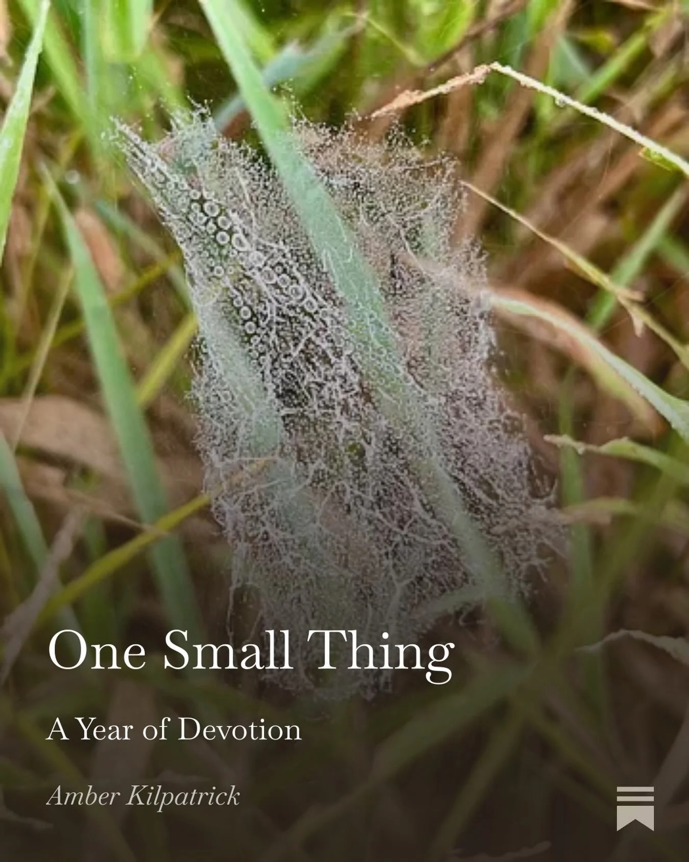 &hellip;The small moments do something. They reset us and bring our nervous system back to center. I pause at the spiderweb and my shoulders drop a little, and I remember I am held inside a living world that is still offering all this beauty. 

Read 
