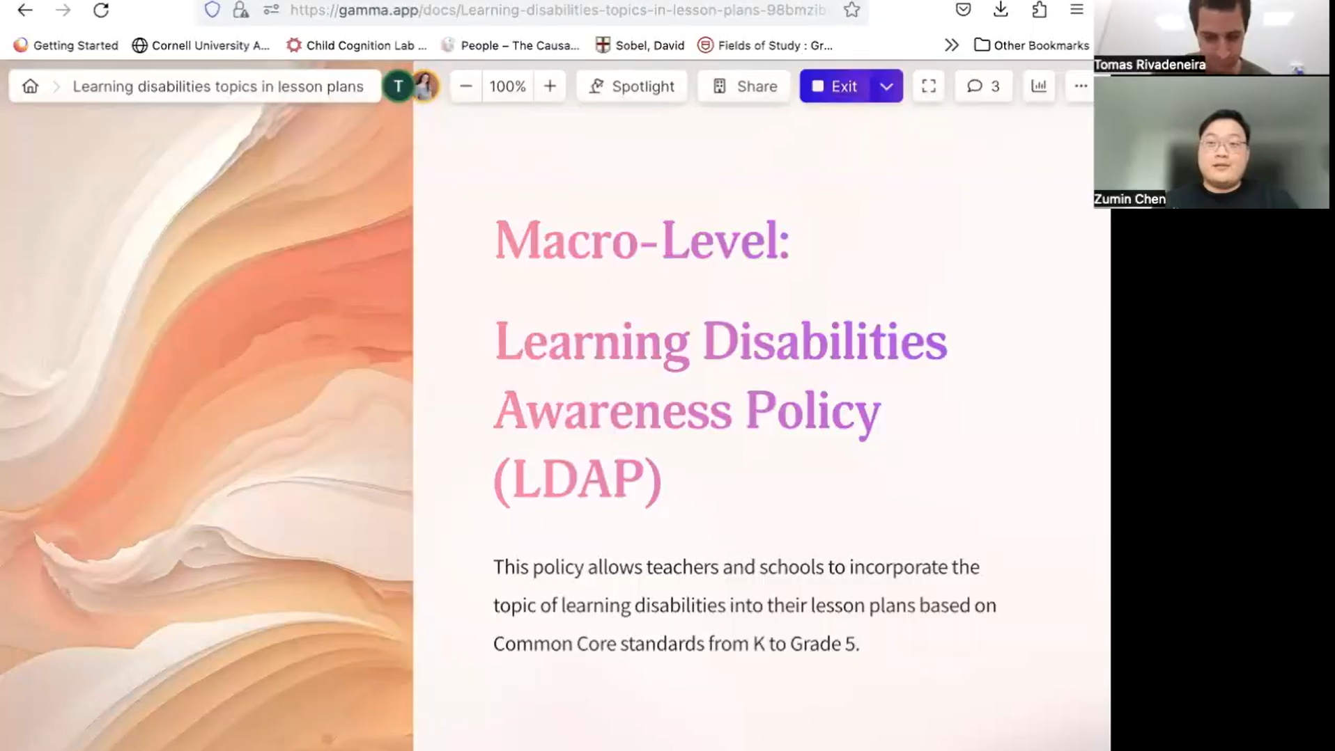 Macro-Level Learning Disabilities Awareness Policy