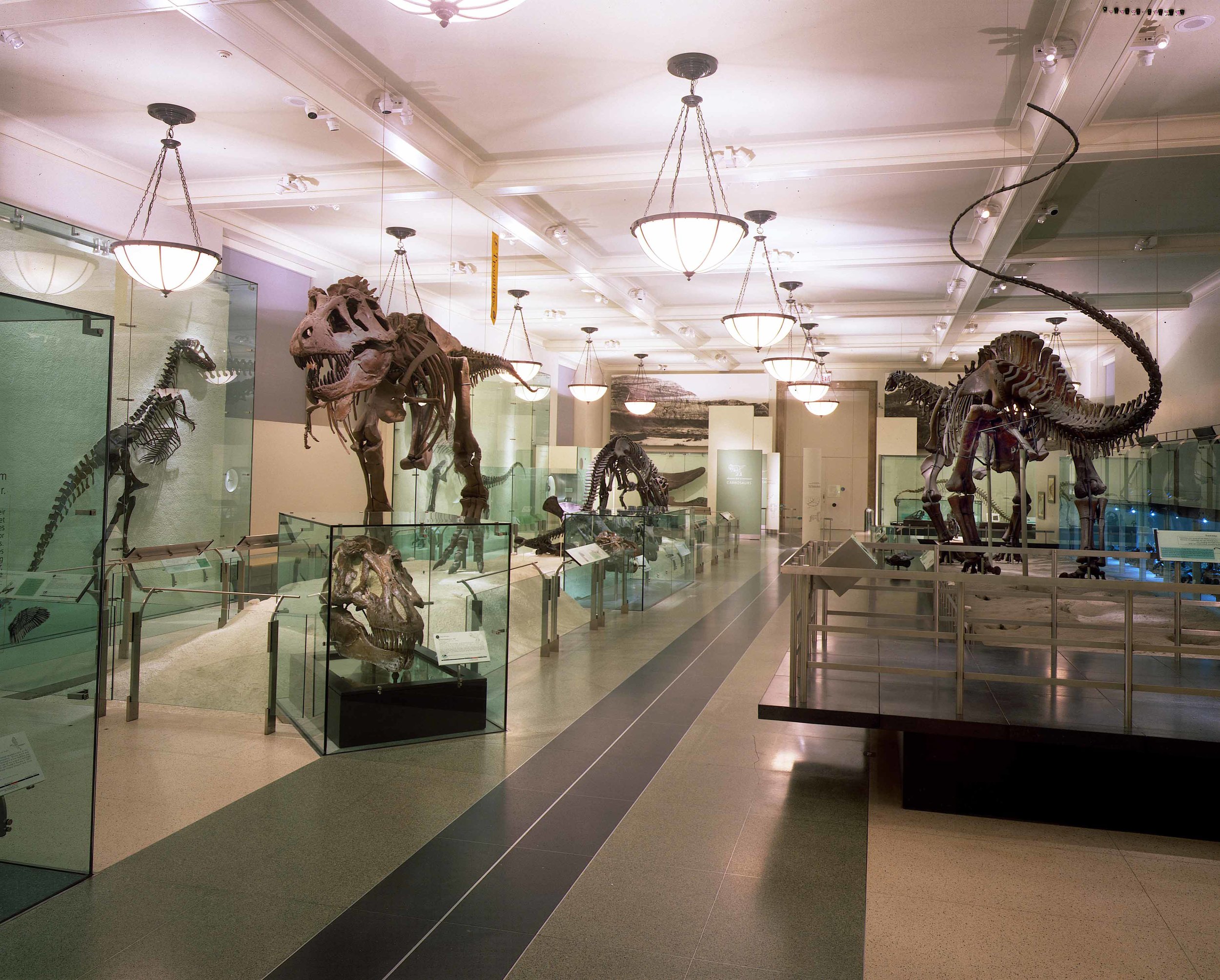 T-rex and friends .jpg