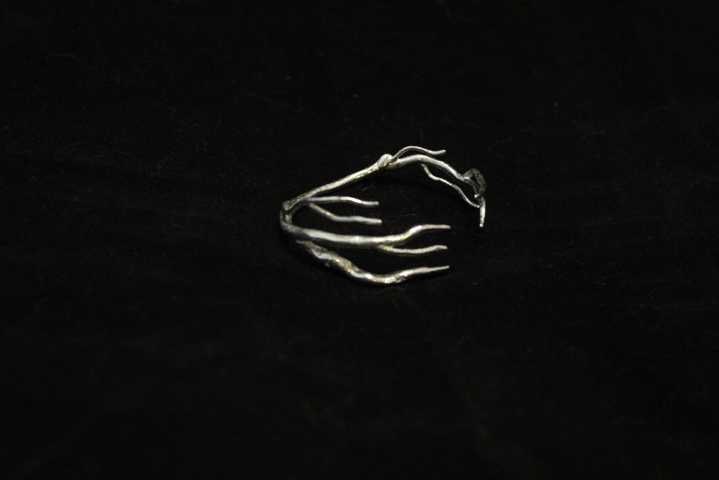 Thin Branch 