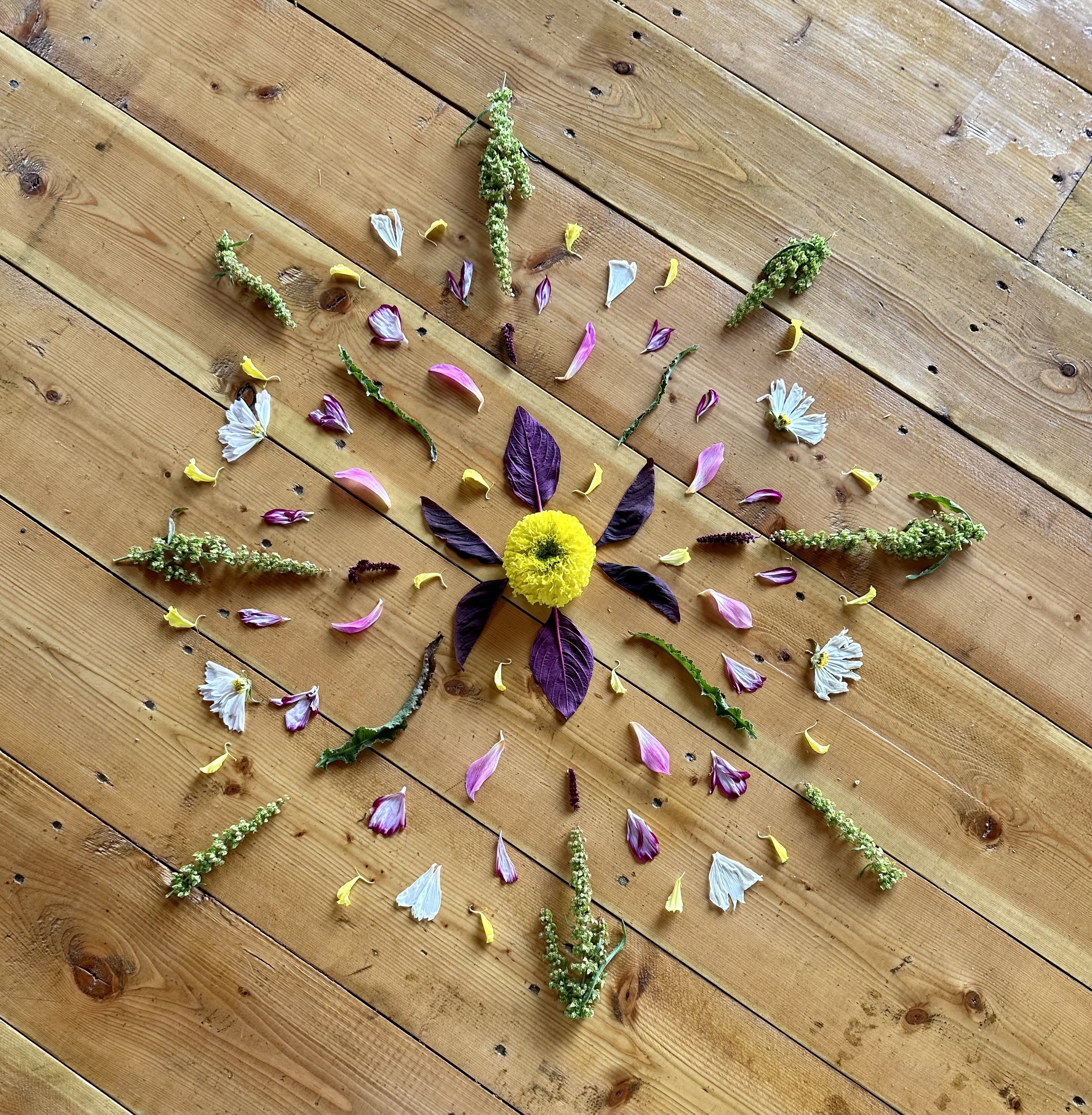 Solstice Celebration at Wildflower Farms, Auberge Resorts