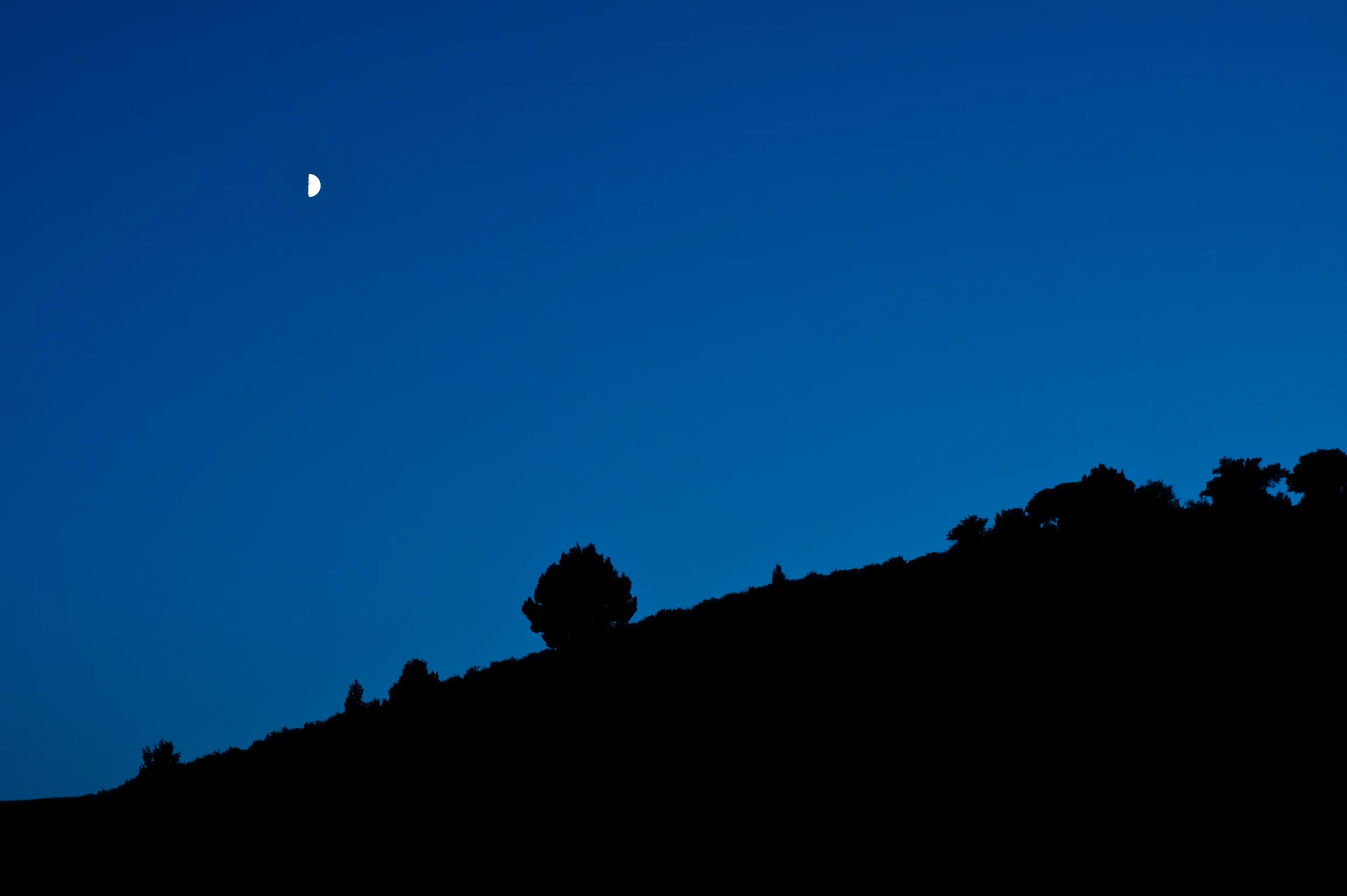 02WIPPER-LANDSCAPE.jpg