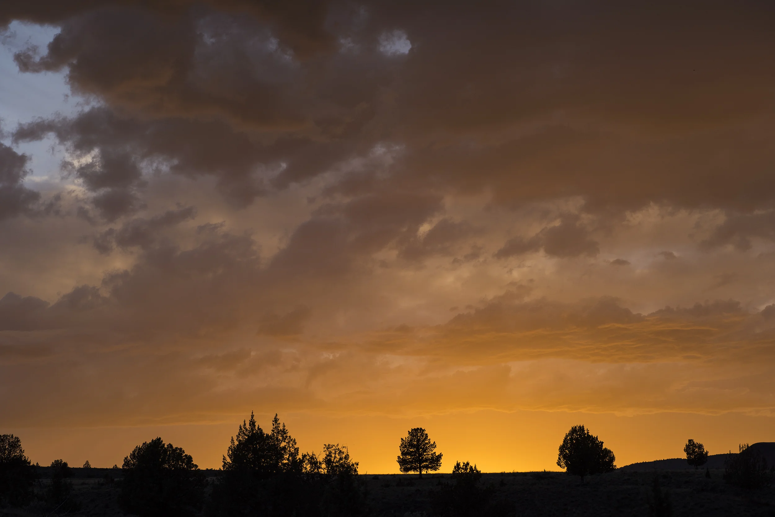 03WIPPER-LANDSCAPE.jpg