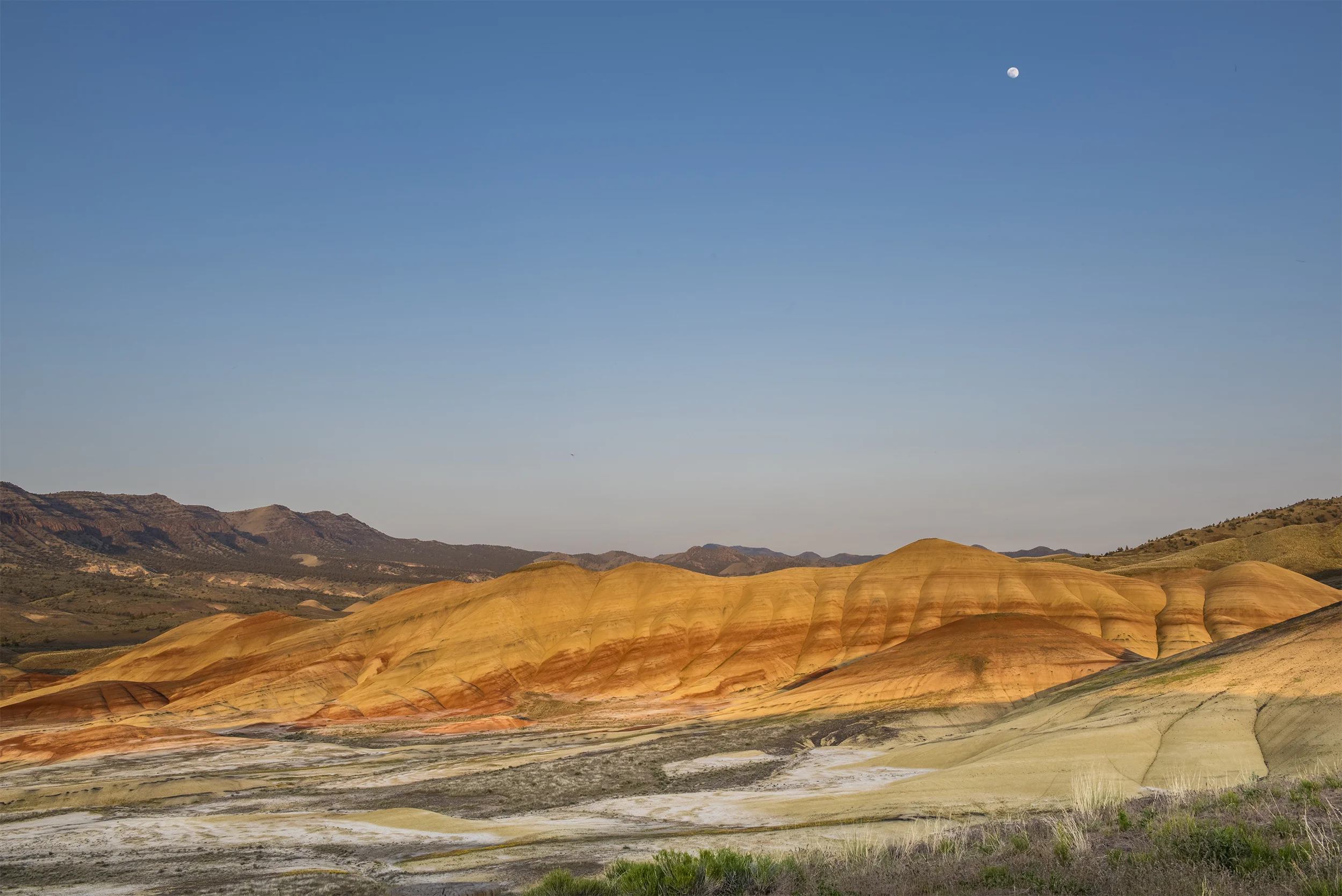 09WIPPER-LANDSCAPE.jpg