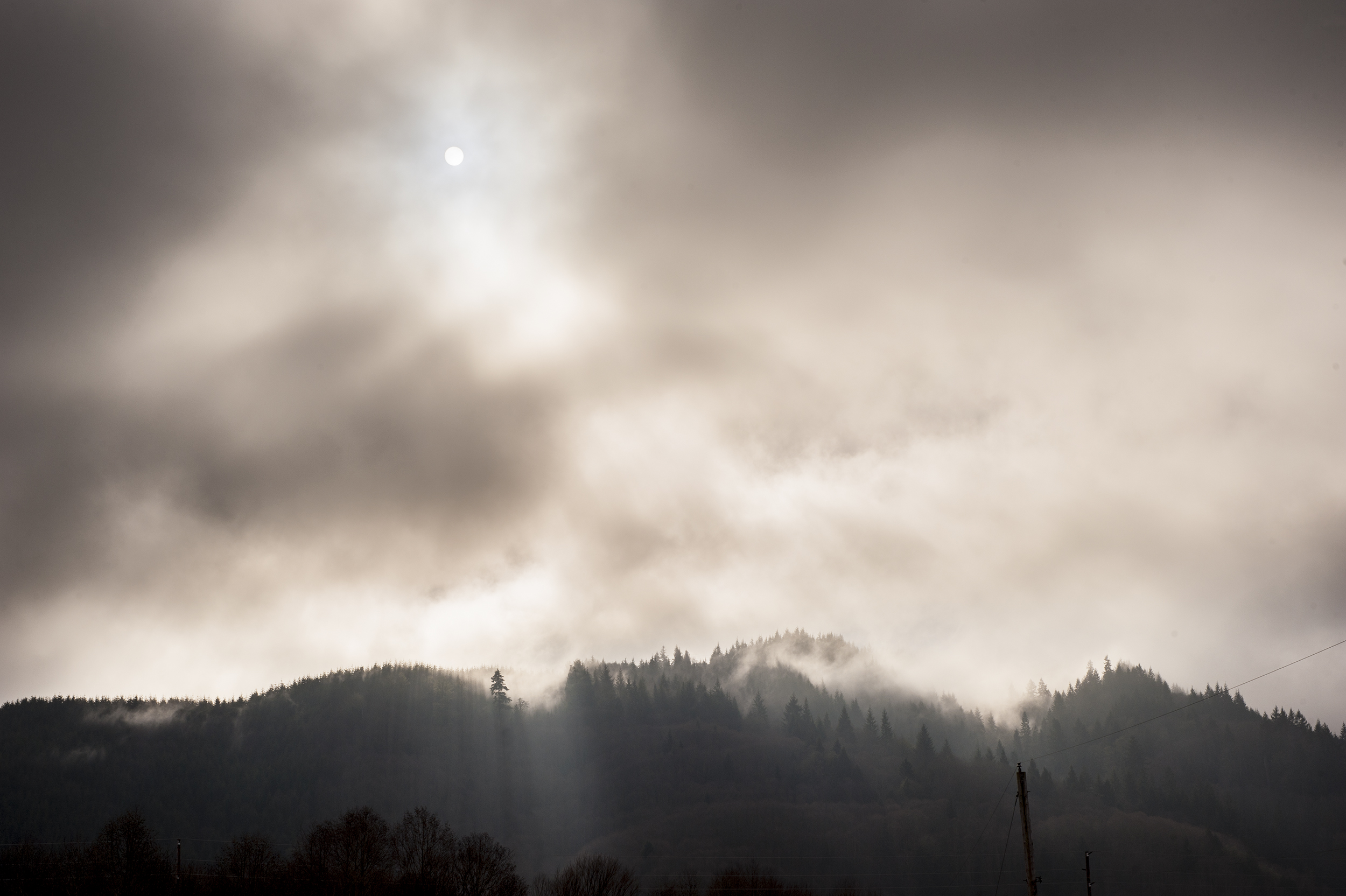 11WIPPER-LANDSCAPE.jpg