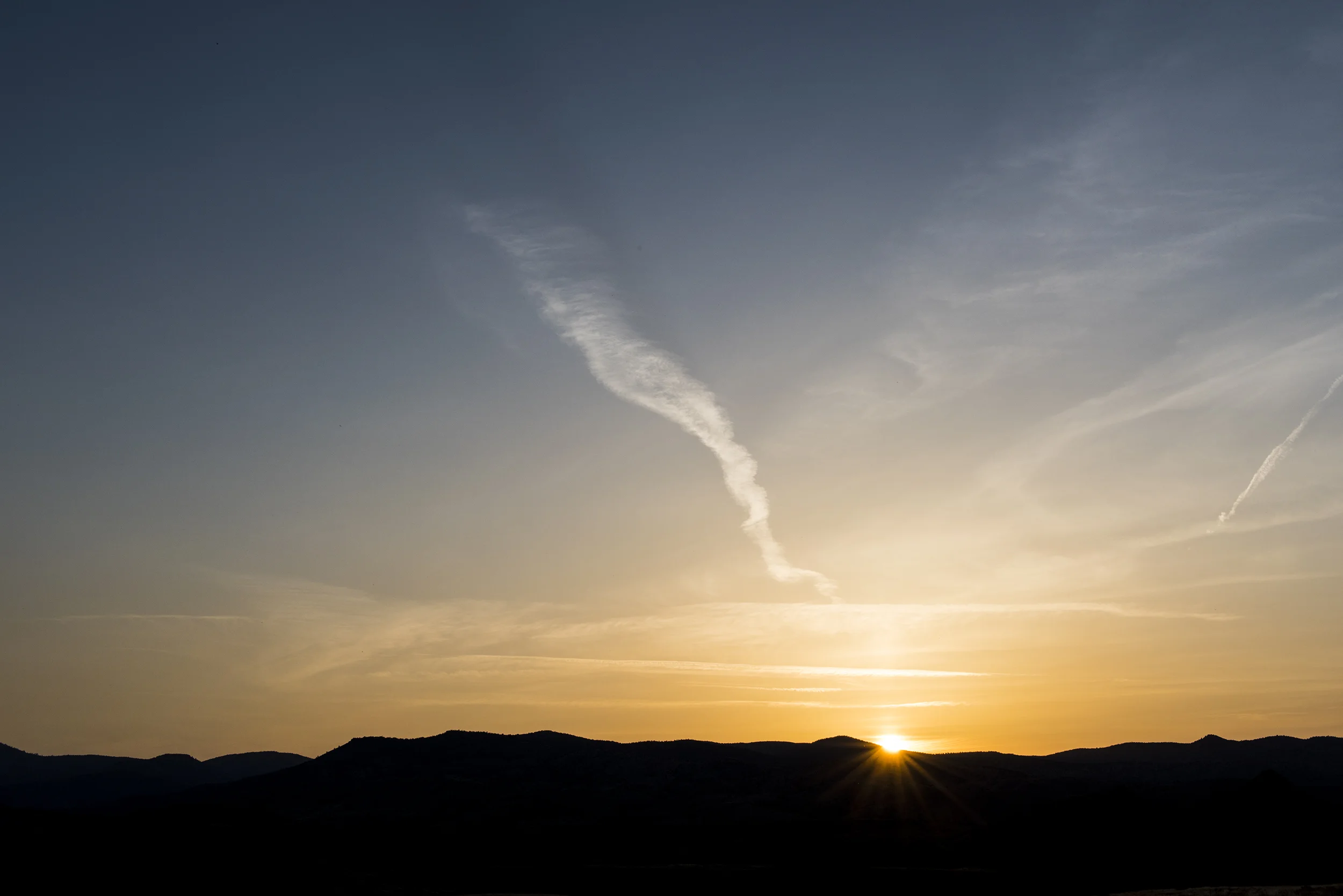 19WIPPER-LANDSCAPE.jpg