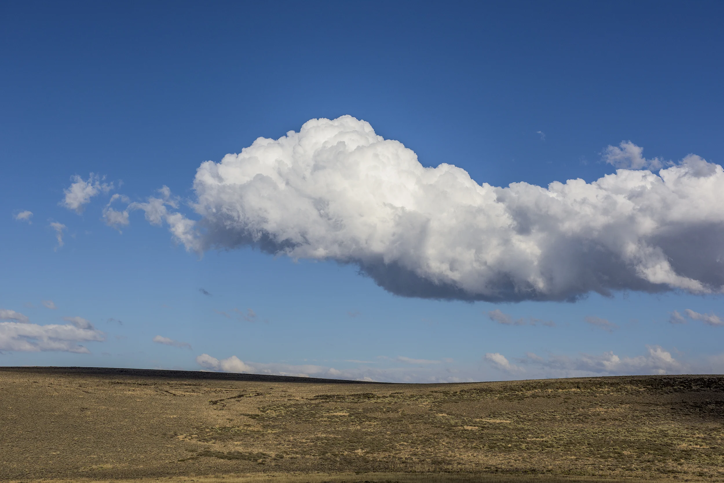 20WIPPER-LANDSCAPE.jpg