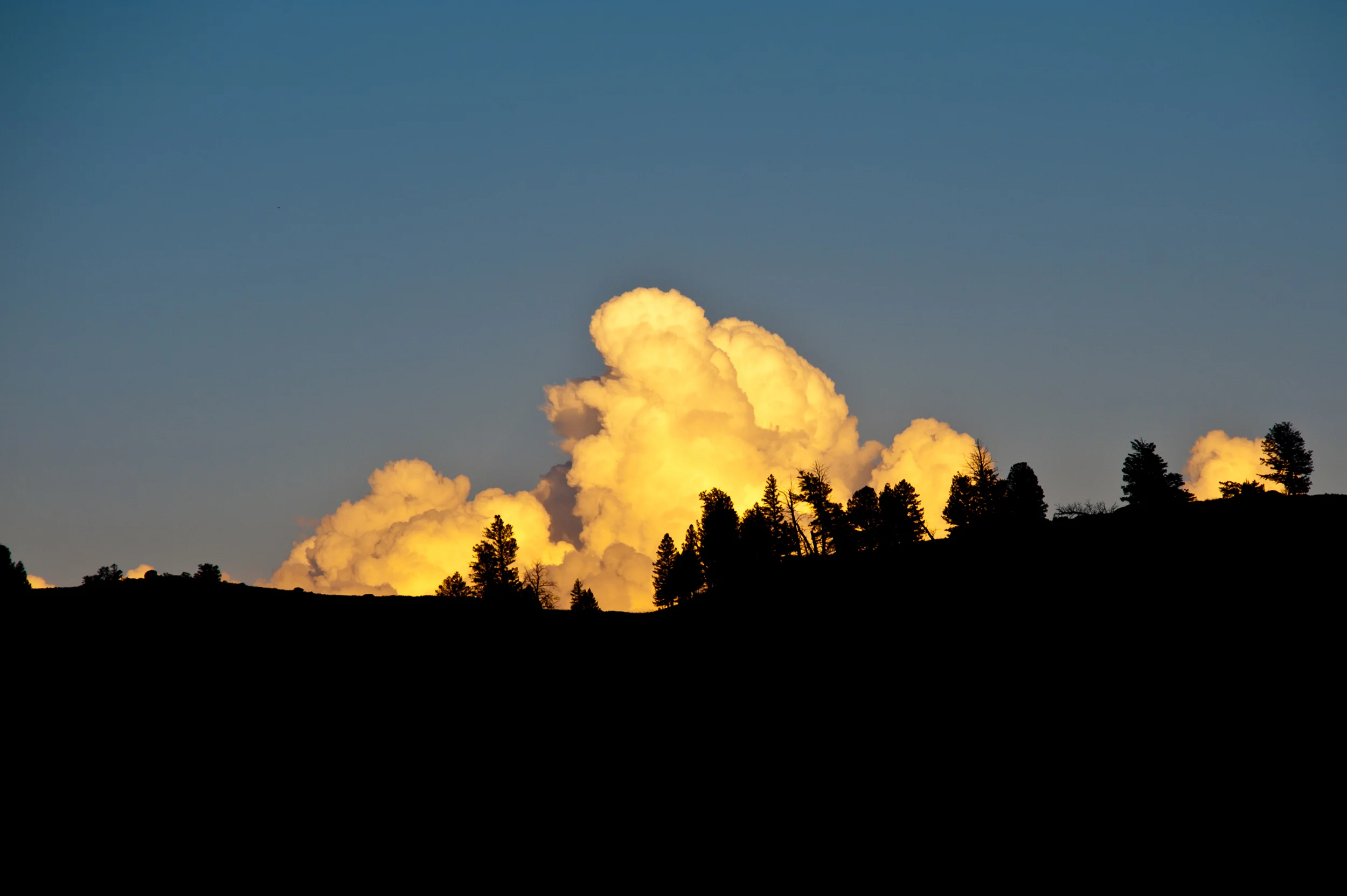 24WIPPER-LANDSCAPE.jpg