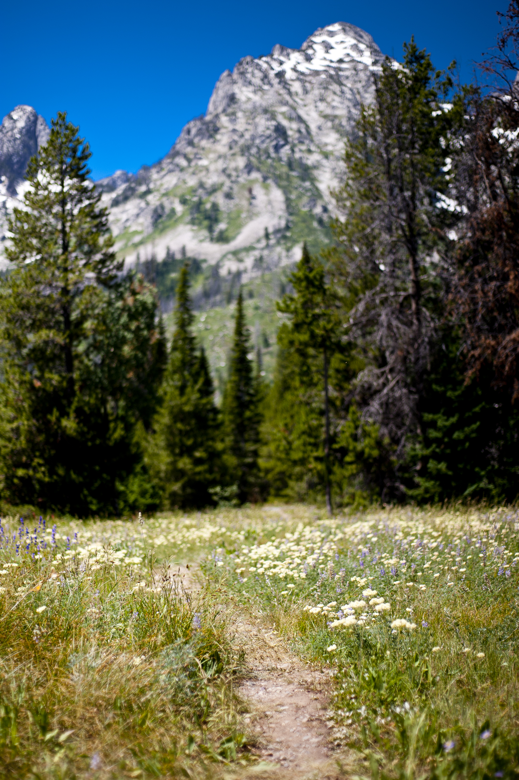 27WIPPER-LANDSCAPE.jpg