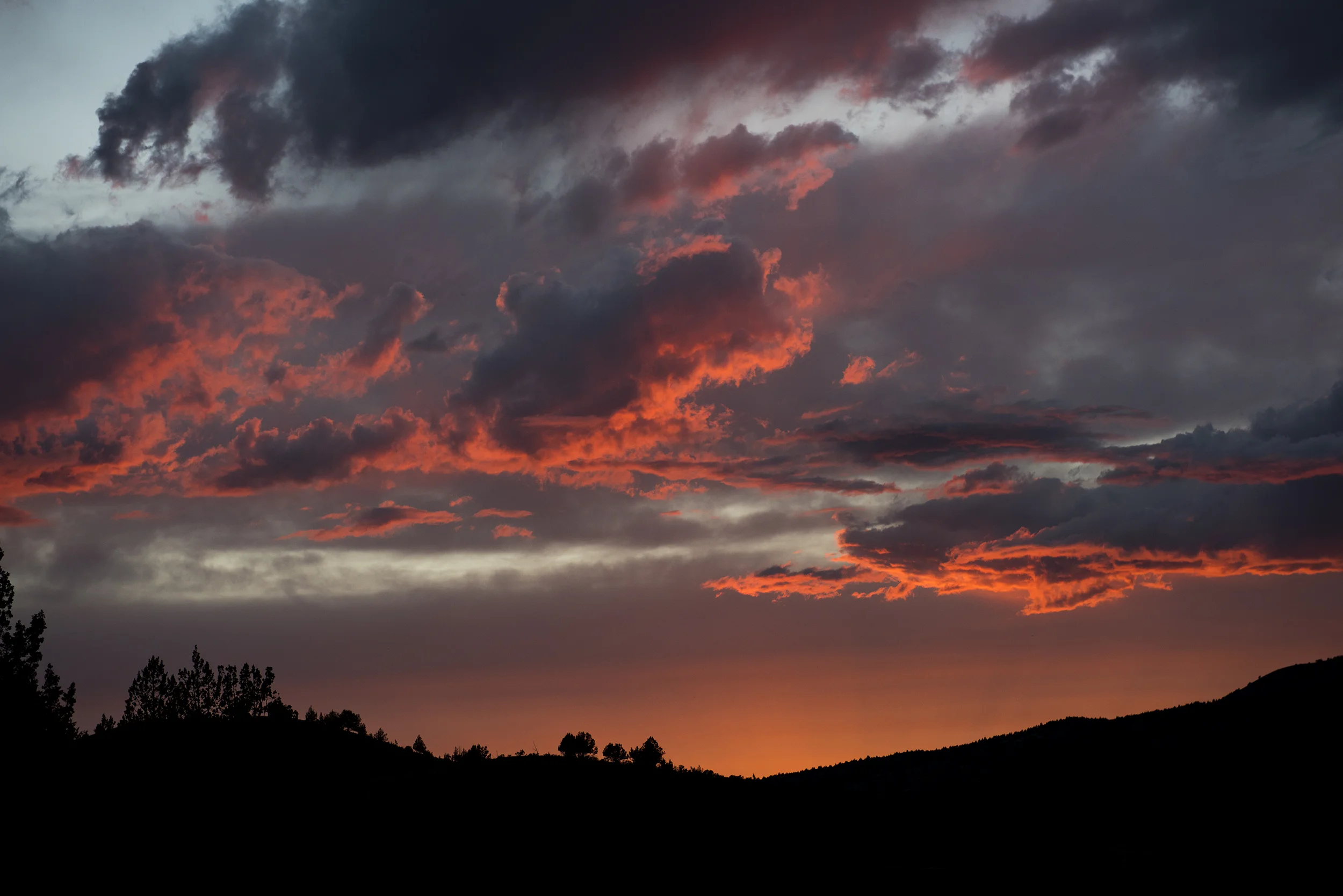 30WIPPER-LANDSCAPE.jpg