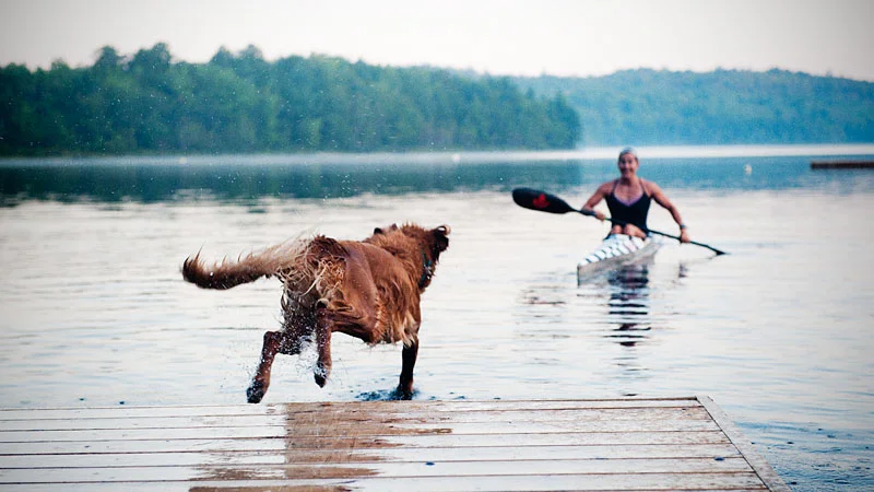 karen-and-dog-jumping-off-dock.jpg