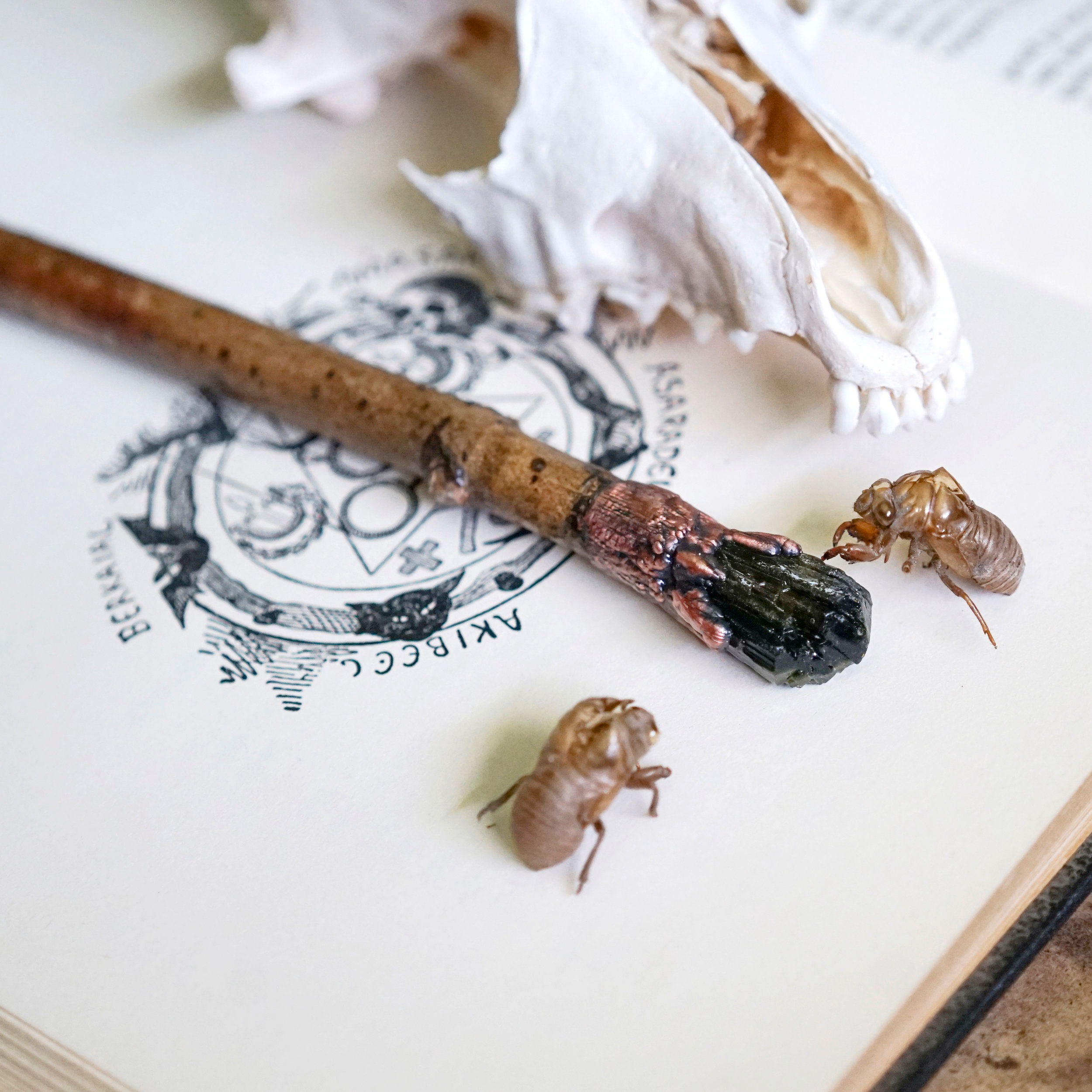 Wand+Epidote+C.jpg