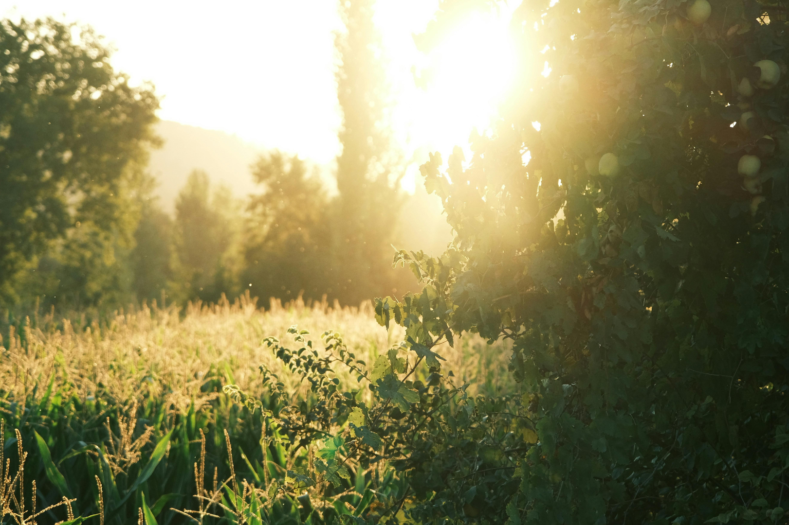 Woolman Hill, Massachusetts Retreat