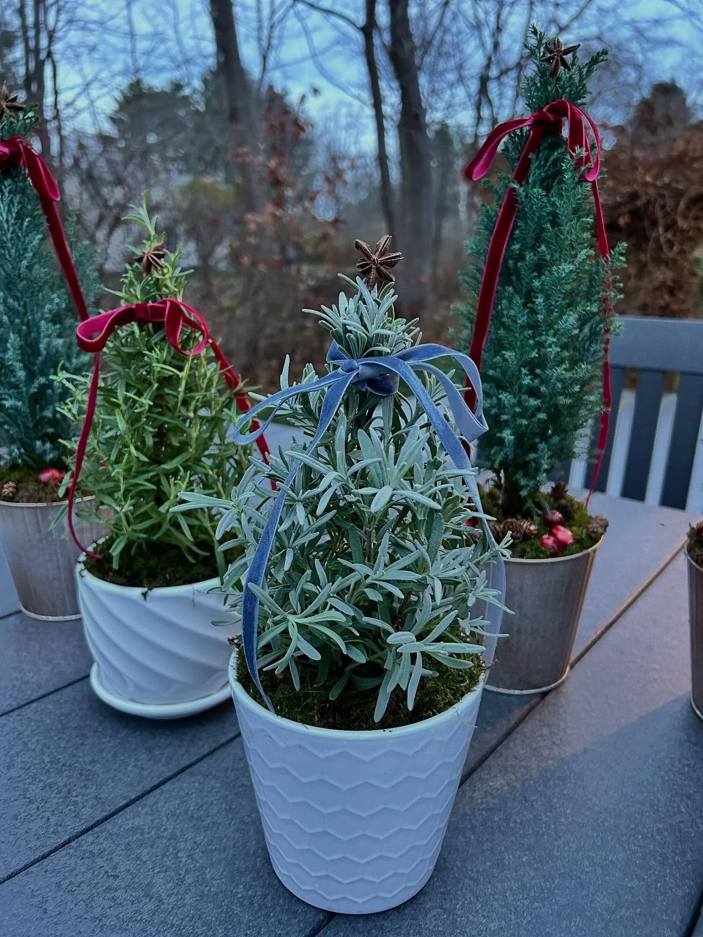 Art on the Hill Open Studios Saturday , 11/29! 10-4. Come for some tabletop trees and visit all the talented artists and creative craftspeople in our community! We will be loaded with holiday decor to help you deck your halls and doors! See you soon!