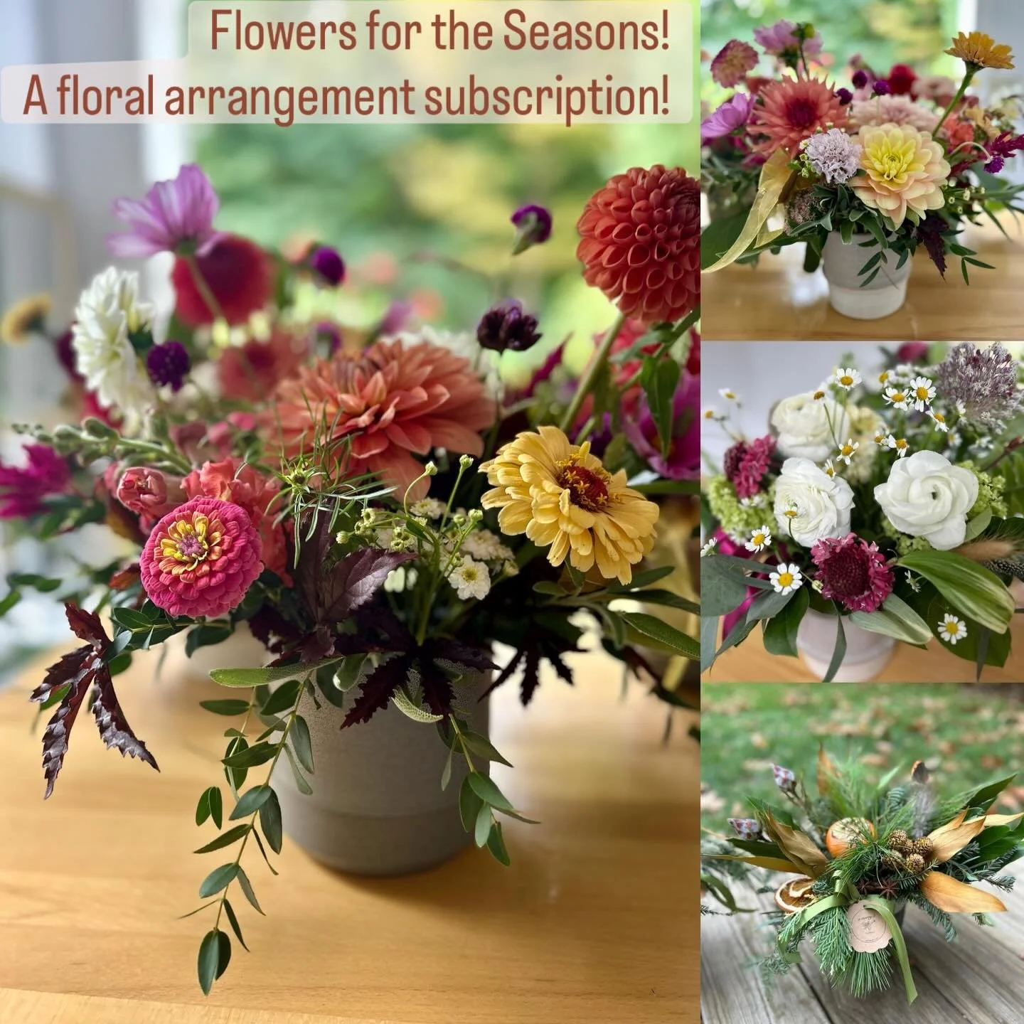 Special savings on 2026 Flower Subscription! Flowers for the Seasons - a gift that lasts all year long! 🌷🌞🍂🎄

Order by 2/8 and save 10%!
Our seasonal floral subscription delivers four lush, artfully designed arrangements in a vase or pot right to