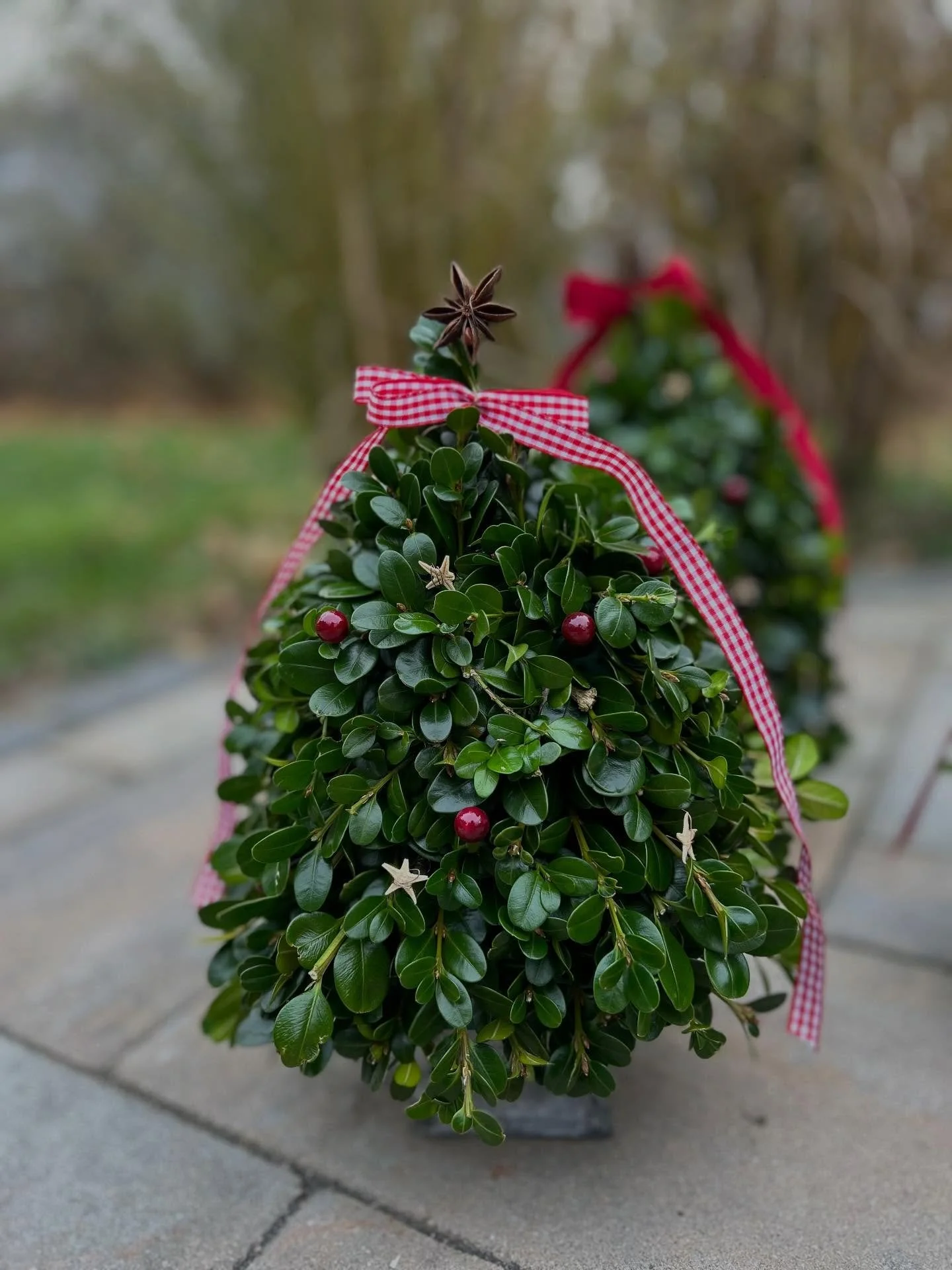 Our a merry b Christmas Collection is now open for ordering!

We have designed some holiday greens centerpieces with candles, fruit, berries, gold and silver bobbles or &lsquo;au naturale&rsquo;, &nbsp;we have assorted indoor potted bulbs -our specia